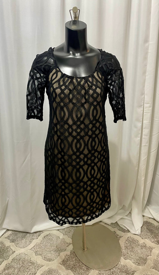 Black Nude Sheer Lace Over Dress
