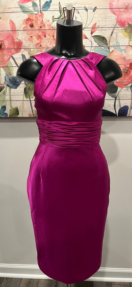 Pink Adrianna Papell Boutique Dress